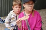 нити001
