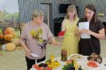 огород006